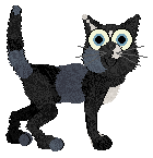 Rattlesnake’s Leggy Lass — “Jacqui”