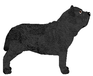 Blizzard Torna a Surriento — “Claudio”