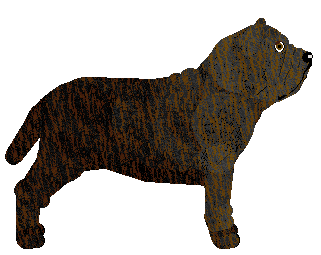 Blizzard Dicitencello vuje — “Giovanni”