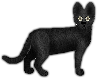 Profile image of Blizzard Forbidden Prayers