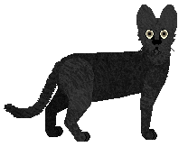 Blizzard Forbidden Prayers — “Herezja”