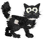 Claudius/Rattlesnake’s Bitter Winter’s Midnight — “Atai”