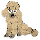 Profile image of Cargo's Angel Wings