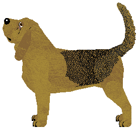 Aushter Ode To Sleep — “Cleo”