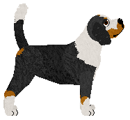 Catharsis Manhattan Skyline — “Ruger”