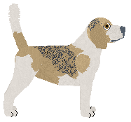 Pemberley Mad About You — “Taffy”