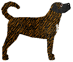 Cansas' Sound of Rain — “Mel”