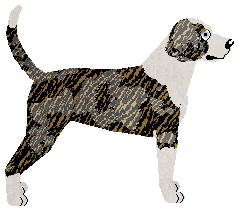 Kamvis' Lost in Space — “Loony”