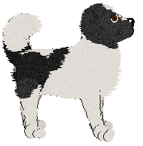 Cargo's Scoff and a Scuff at BFK — “Avalon”