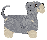 Profile image of Aura's Citrullus Lanatus