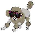 Profile image of Cargo's Singular Vision