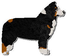 Profile image of Paradigm Fairy Ointment