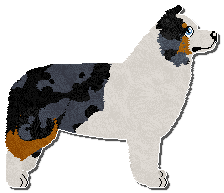 Profile image of Paradigm Nettle Spinner