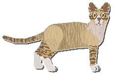 Profile image of Airship Have A Look At The Syrup