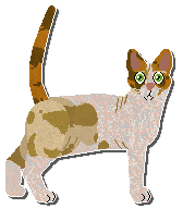 Profile image of Airship Very Provocative Garment