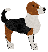 BFK's Oldie But Goldie — “Invalid”