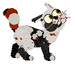 Profile image of SeaGlass's Carbonated Cat