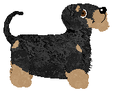 Vanilla's Language of Love — “Snuggle”