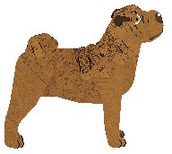 Crowned Jewelz — “Balzac”