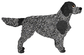 Peregrine Dog Days Divine — “Divine”