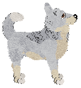 Aura's Chivas Regal — “Scotch”