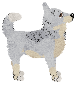 Profile image of Aura's Chivas Regal