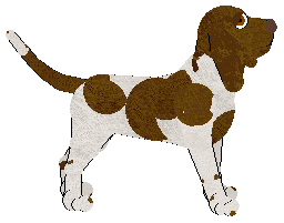 Peregrine Over Stillwater — “Banks”