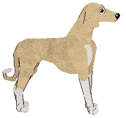 Peregrine From Eden's Gate — “Benni”