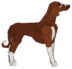 Peregrine Cherry Wine Dream — “Cherry”