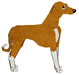 Peregrine Angel of Small Death — “Turner”