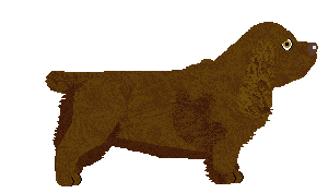 Aura's Bulwark of the Achaeans — “Ajax”