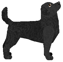 Peregrine Rescue Remedy — “Rescue”