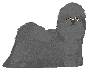 Vivaldi Sky Full of Rabbit Heart — “Rabbit”