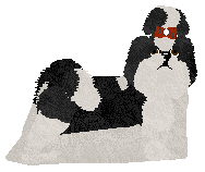 Vivaldi Work Song Waltz — “Matilda”