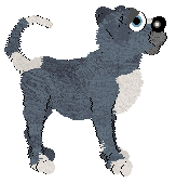 Cargo's Blue Raspberry — “Razz”