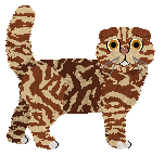 Taremu Strawberry Champagne — “Tim”