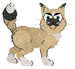 Witz Oh, Surprise Surprise — “Fiasco”