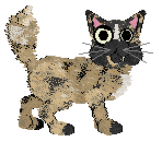 Witz Ursus Arctos Horribilis — “Grizz”