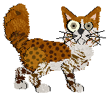 Calluna's Highly Educated — “Kaplan”