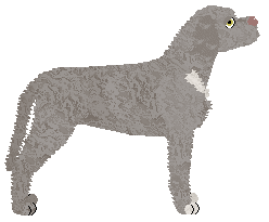 Uplands Cultural Heritage — “Folk”