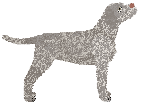 Uplands Cutting a Path — “River”