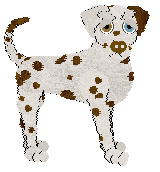 Sz's Recto and Verso — “Verso”