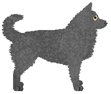 Blizzard SZARÓWKA — “Vienna”