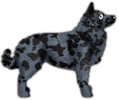 Profile image of Blizzard Strive for Perfection