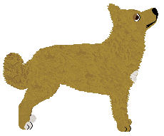 Babilona Bandits LOVE SOMEONE — “Lira”