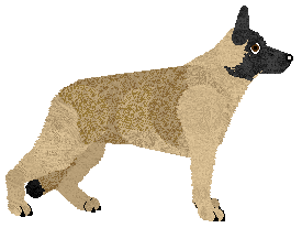 DAME von Edelshof — “Dama”