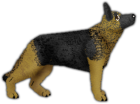 Profile image of WINDSTILLE von Edelshof