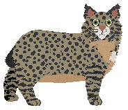 Vanilla's Hear Me Rory — “Rory”