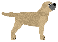 Profile image of Vanilla's Bread & Butter