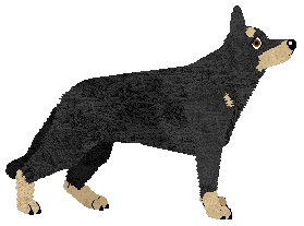 KAISER von Edelshof — “Kaiser”